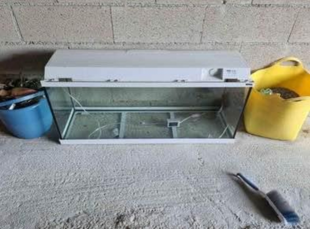 Aquarium avec couvercle blanc 70 Soye (25)