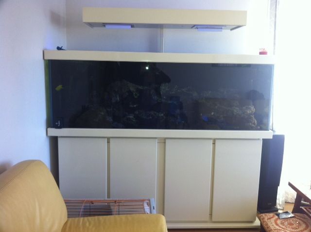 aquarium 600 L avec meuble fait sur mesure 0 Chevilly-Larue (94)
