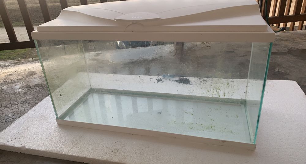 Aquarium avec pompe 100 Nogent-sur-Seine (10)