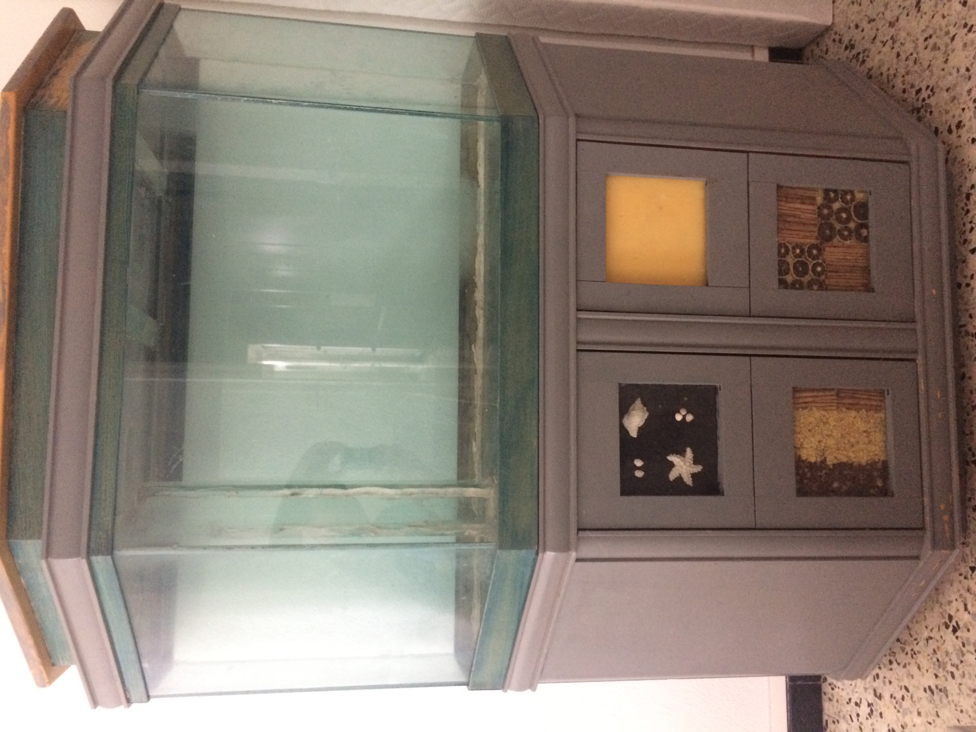 aquarium complet 300 Caluire-et-Cuire (69)