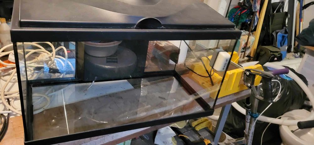Aquarium entre 50 et 60 Litres poissons ou autres 40 Avesnes-sur-Helpe (59)