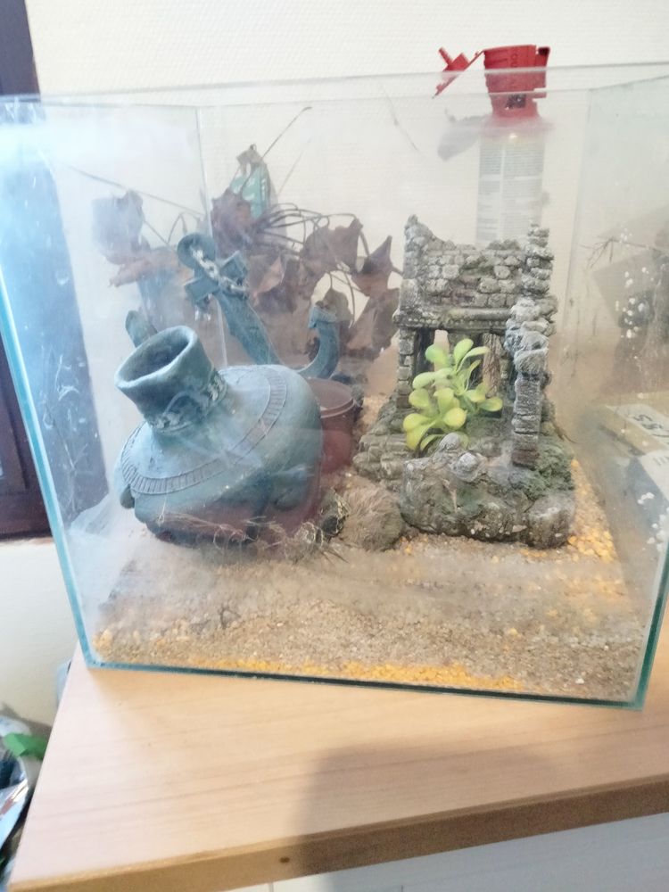 Aquarium 60 litres d'eau aoese et plus petit aquarium aussi. 100 Corbeil-Essonnes (91)