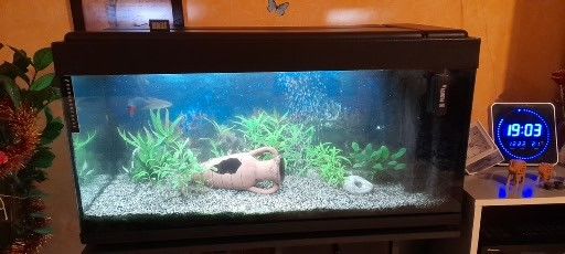 AQUARIUM 200 LITRES AVEC MEUBLE NOIR ET ACCESSOIRES 180 Fesches-le-Ch�tel (25)