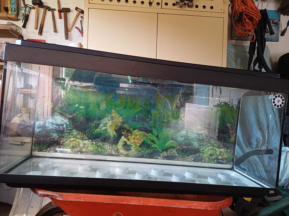 Aquarium 120 litres bon �tat avec quelques accessoires 45 Fresse-sur-Moselle (88)