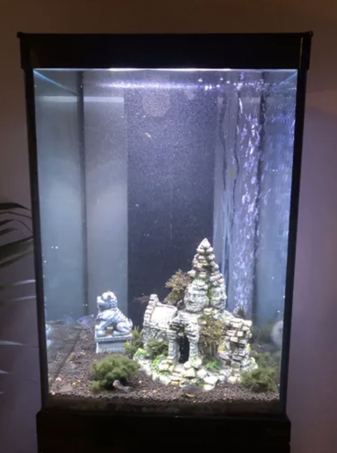 Aquarium 96 litres et meuble Truffaut ! 120 �vry (91)