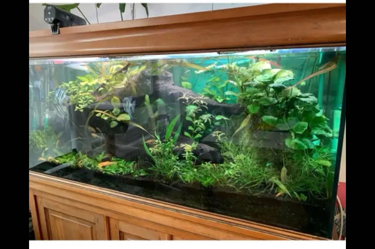 aquarium 450 litres 900 Paris 18 (75)