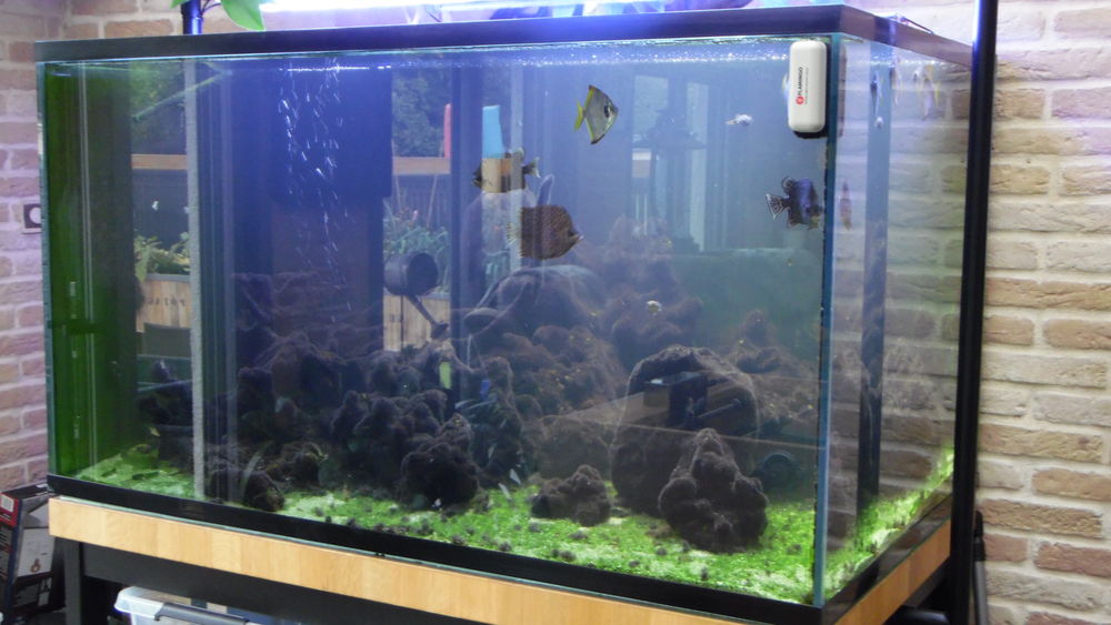 AQUARIUM 600 LITRES 290 Cappelle-la-Grande (59)