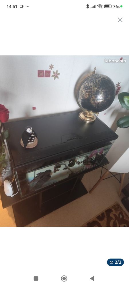 aquarium+60l+et+meuble+noir 70 Saint-Barth�lemy-d'Anjou (49)