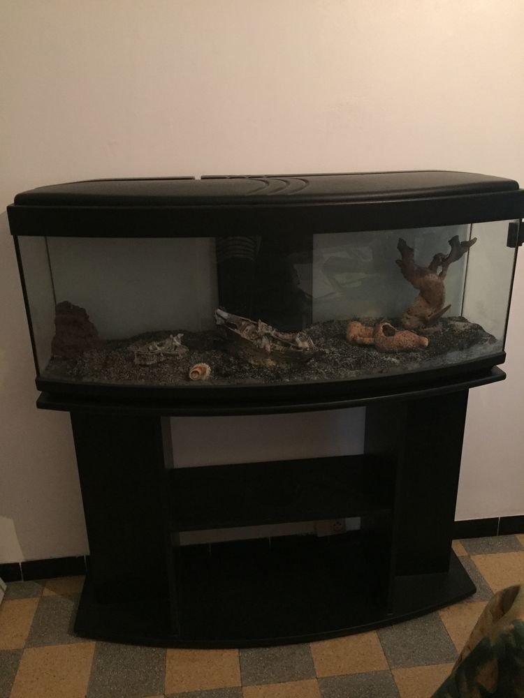 Aquarium Noir 500 La Seyne-sur-Mer (83)