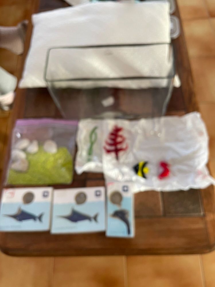 aquarium et poissons � bulle 40 Colombiers (34)