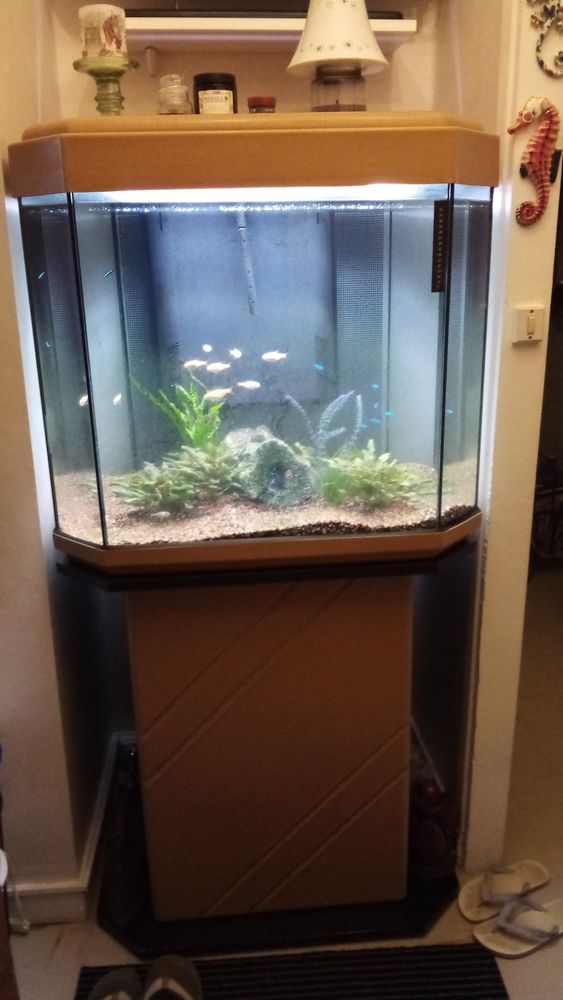 AQUARIUM PYRAMIDE
190 Creil (60)