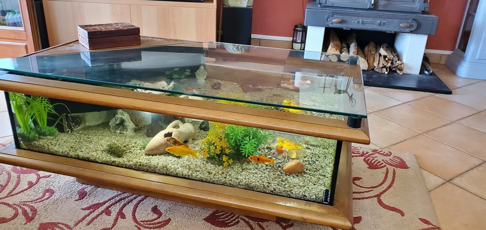 Aquarium table 500 Nailly (89)
