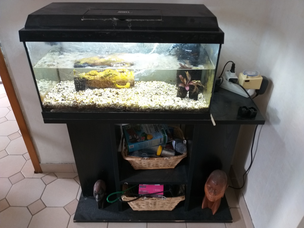 Aquarium tout �quip� complet avec meuble de rangement plus l 100 Luc� (28)