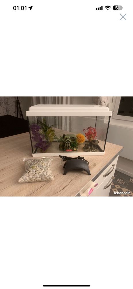 Aquarium Zolux 90 Saint-�tienne (42)