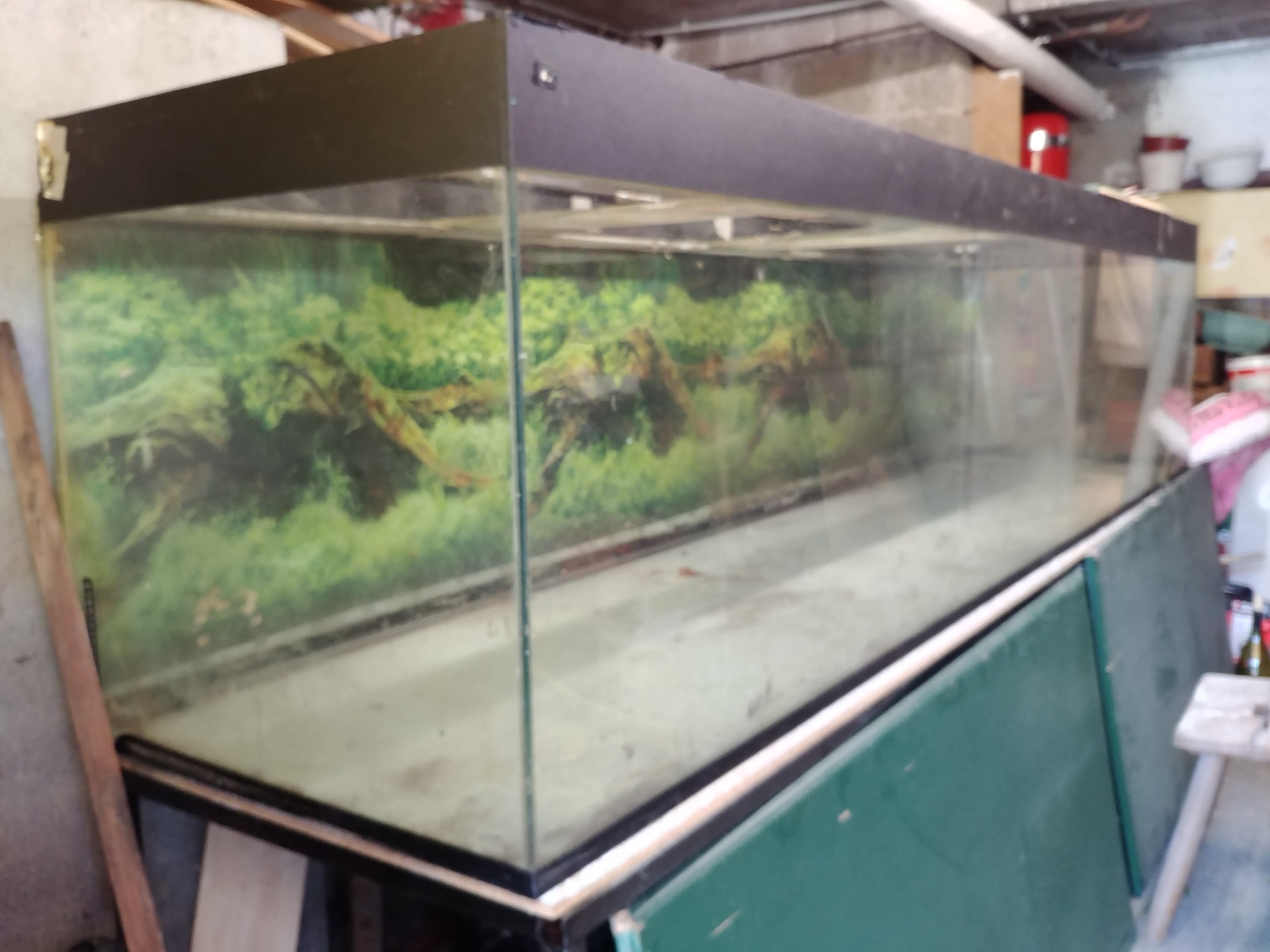 aquarium 500 Roncourt (57)