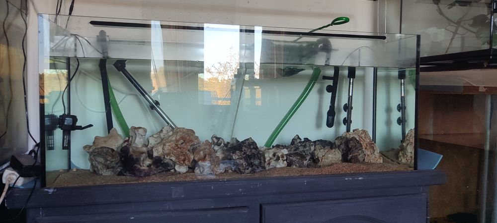 aquarium 300 Montmirail (51)