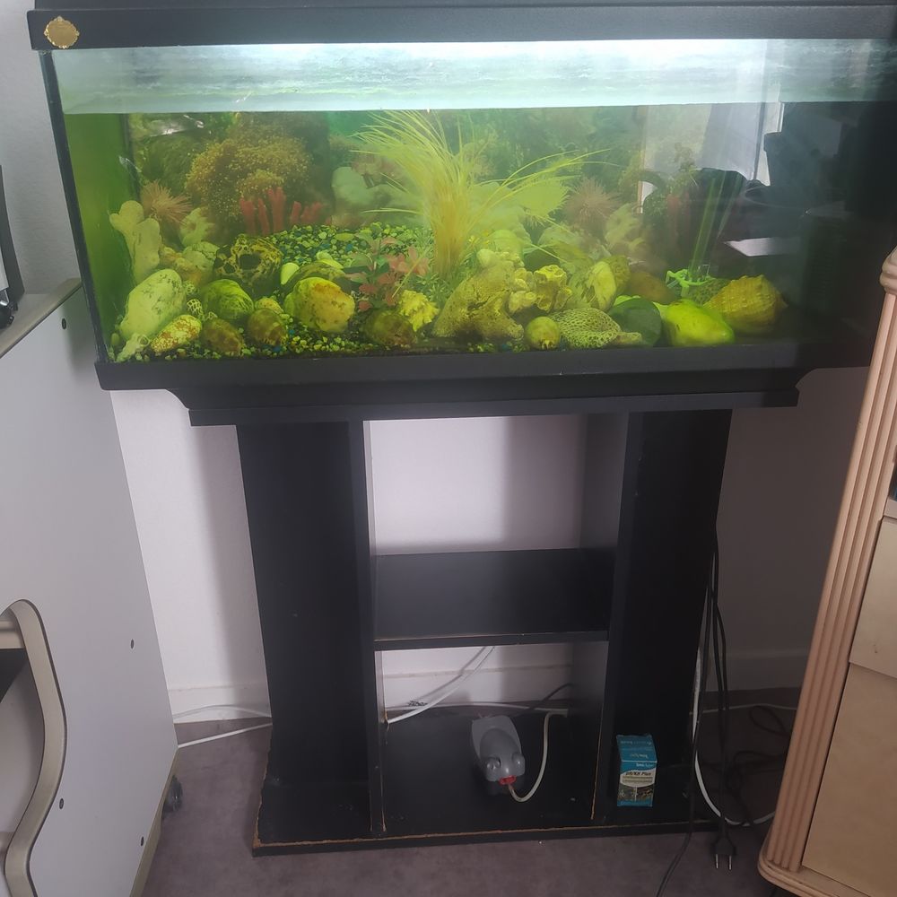 aquarium 70 Pessac (33)