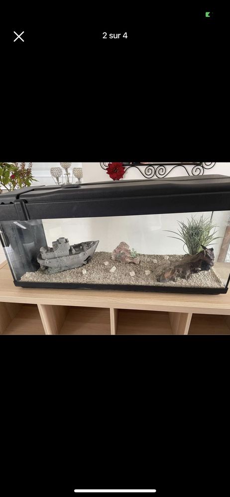 Aquarium 140 Lannion (22)