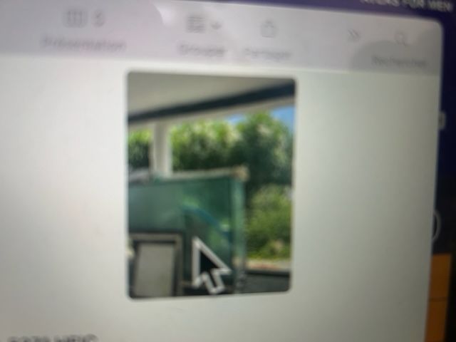 aquarium de mer 0 Antibes (06)