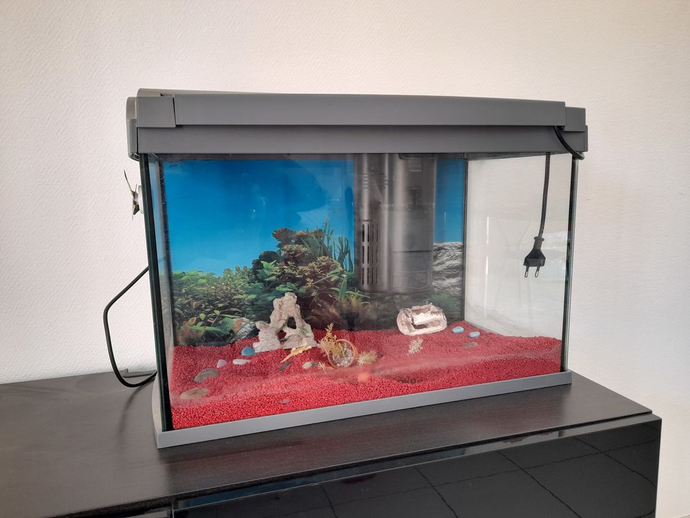 AQUARIUM 80 Muret (31)