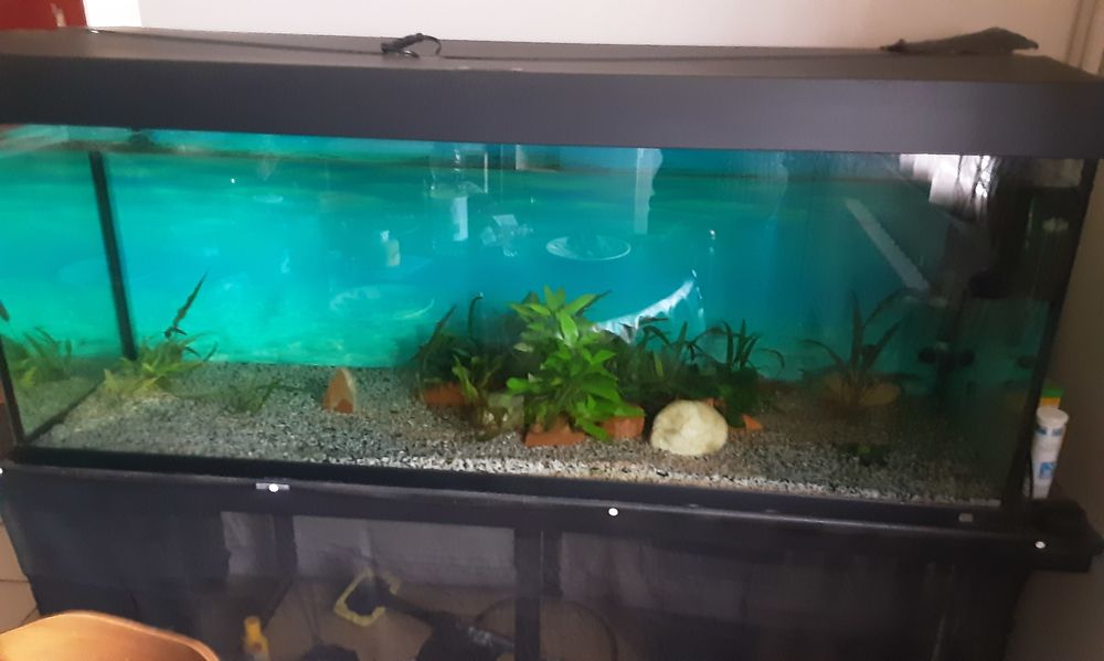 Aquarium 200 Cahors (46)