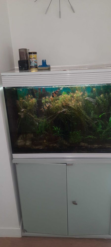 aquarium 50 Gentilly (94)