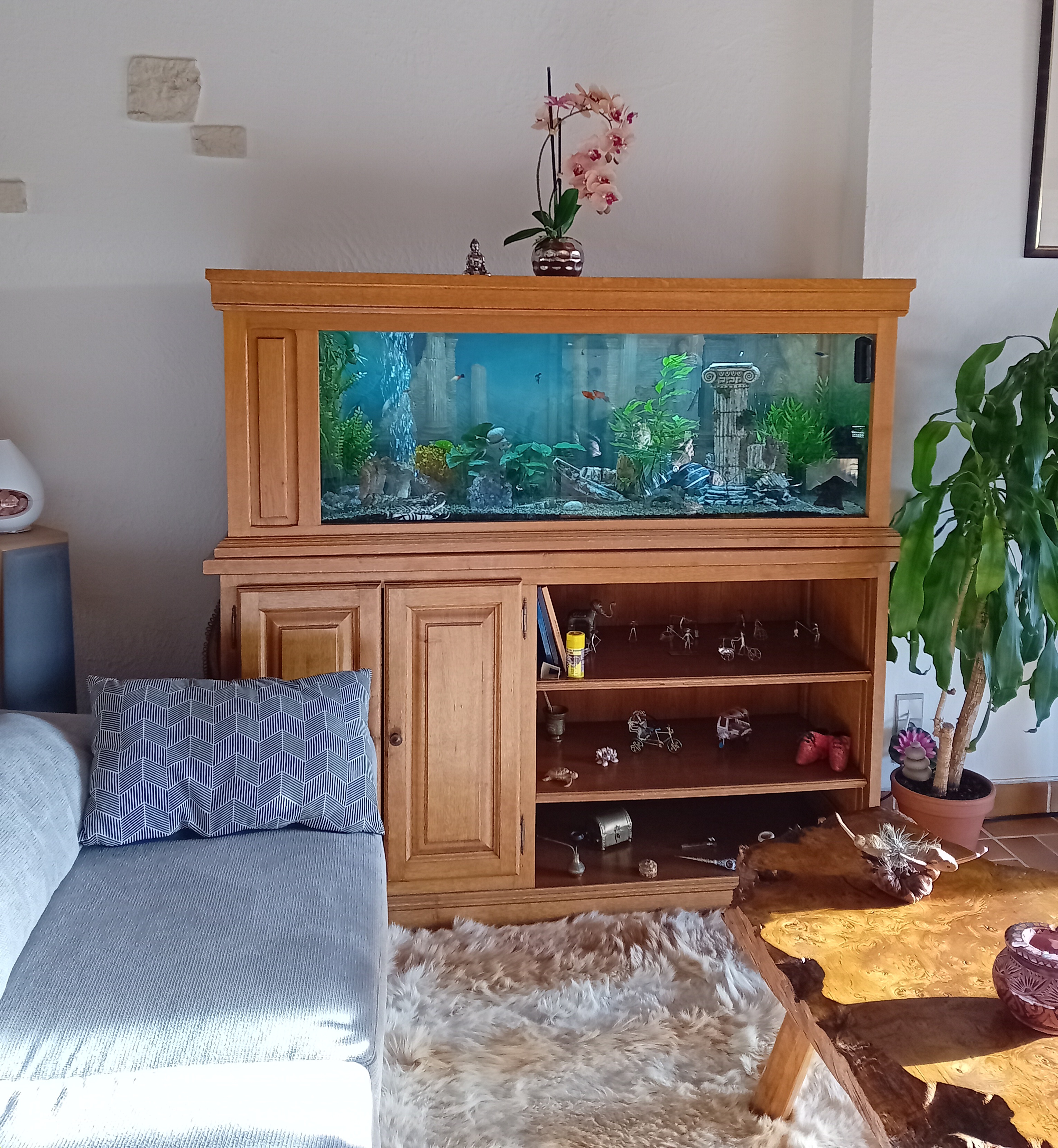 Aquarium 990 Couze-et-Saint-Front (24)