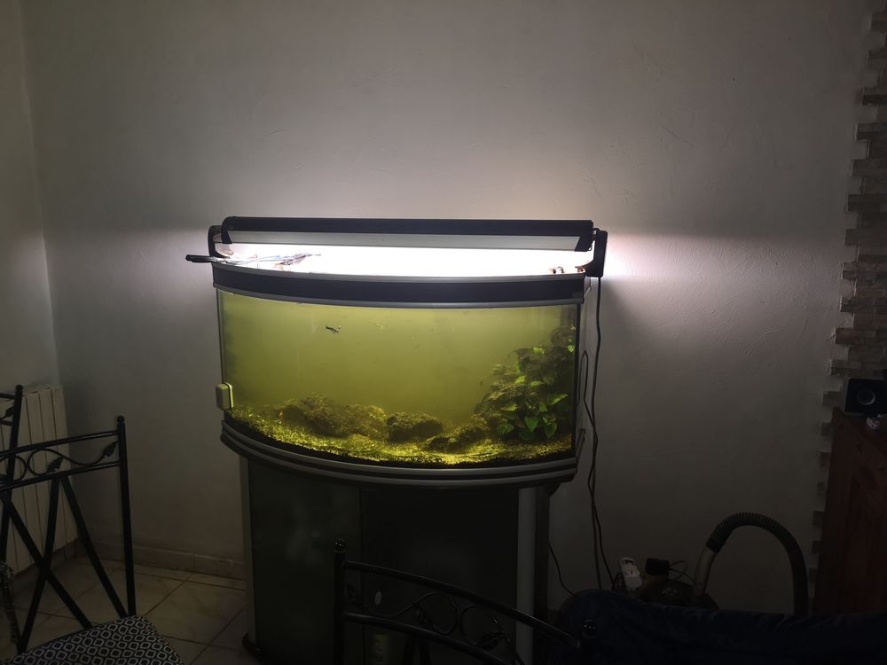aquarium 250 l 120 Montauban (82)