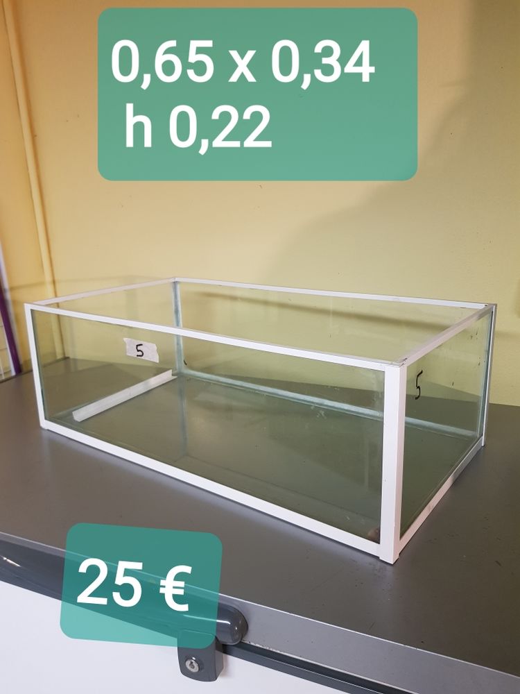 aquariums 20 Rigne (79)