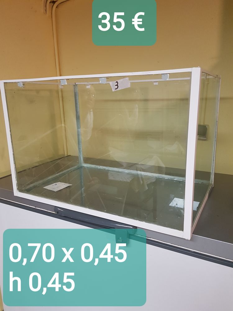 aquariums 20 Rigne (79)