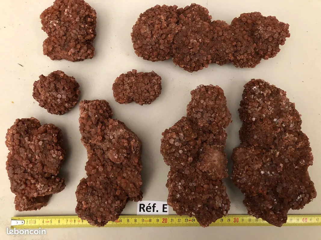 Aragonites : lot de min�raux de collection 50 Saint-M�dard (16)