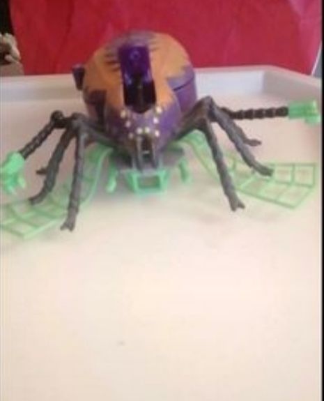 Araign�e plastique 3 Mulhouse (68)