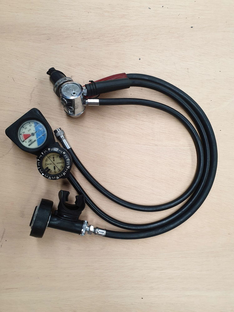 Araign�e poseidon compas sunto 260 Tours (37)