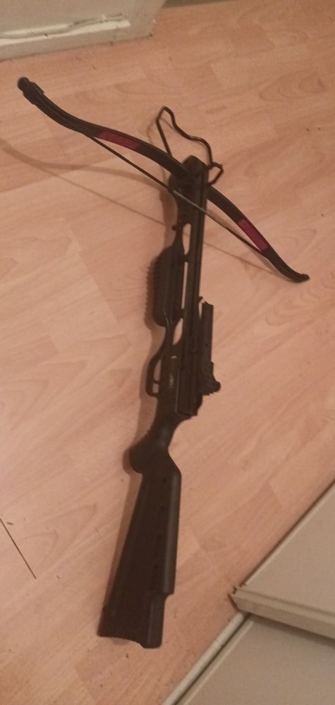 arbal�te ek archery jaguar 1 175lb 220 fps 90 Laon (02)