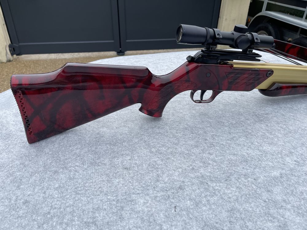 Arbalete Barnett Lightning tr�s rare 650 Franconville (95)