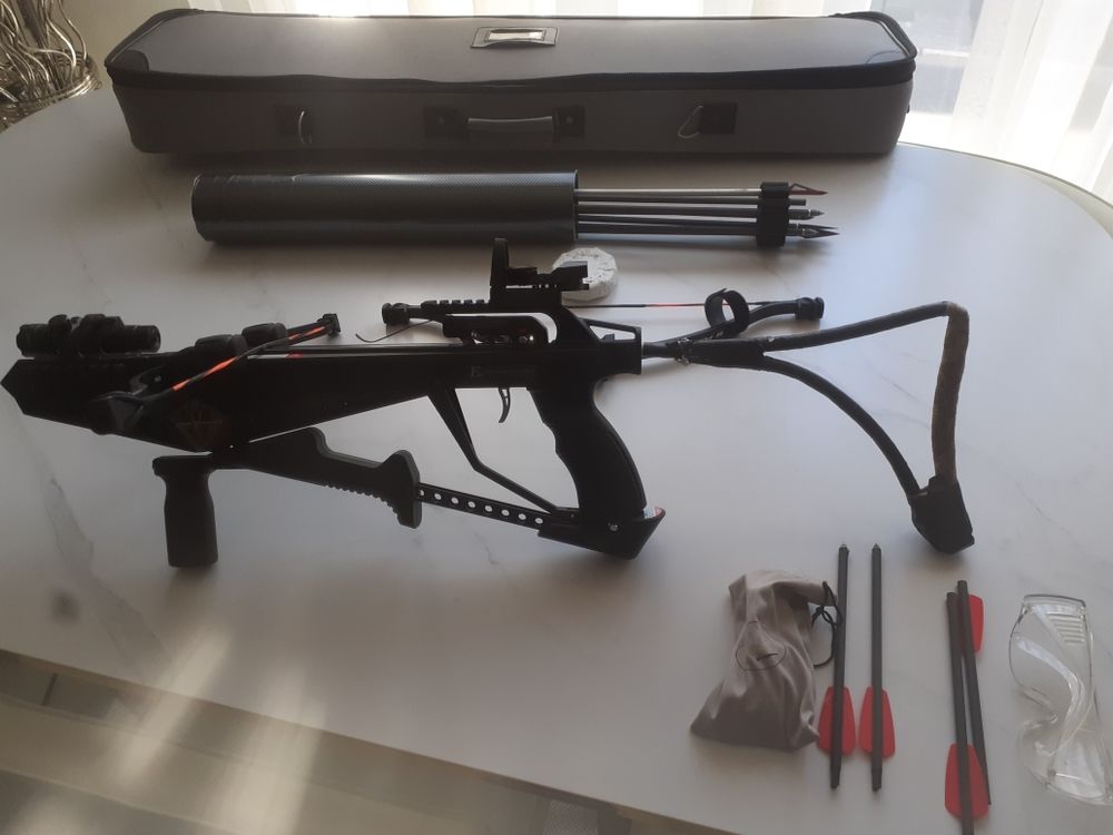 arbal�te cobra r9 ,2 syst�mes de vis�e  ,r�ticule et laser , fl�ches et sacoche  ,  2 arcs 150 Ermont (95)