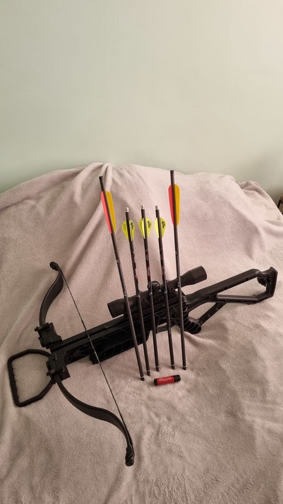 ARBALETE EXCALIBUR 300 Sarlat-la-Can�da (24)