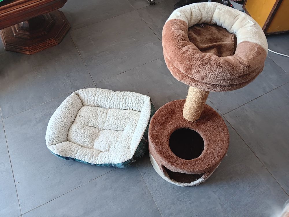 ARBRE  A CHAT  ET CORBEILLE A CHAT 39 Courth�zon (84)