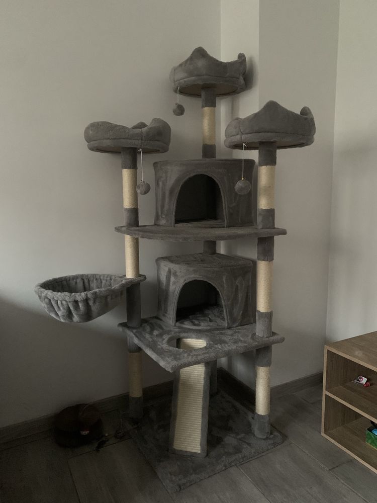 arbre �  chat neuf 90 Blois (41)