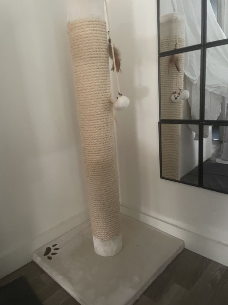 Arbre � chat 50 Saint-Maur-des-Foss�s (94)