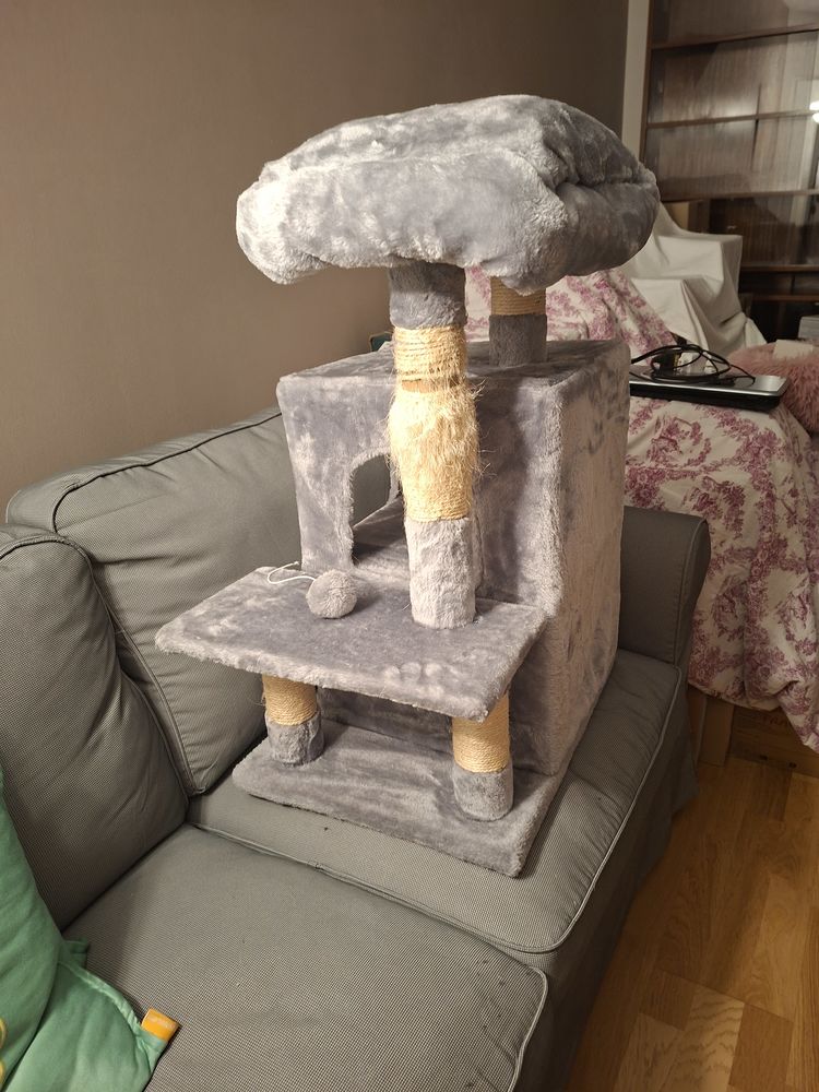 Arbre � chat 35 Sannois (95)