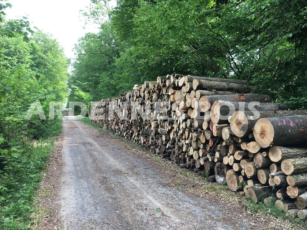 ARDENNES BOIS
Bois de chauffage en 2 m�tres bois dur et sec 66 Lille (59)