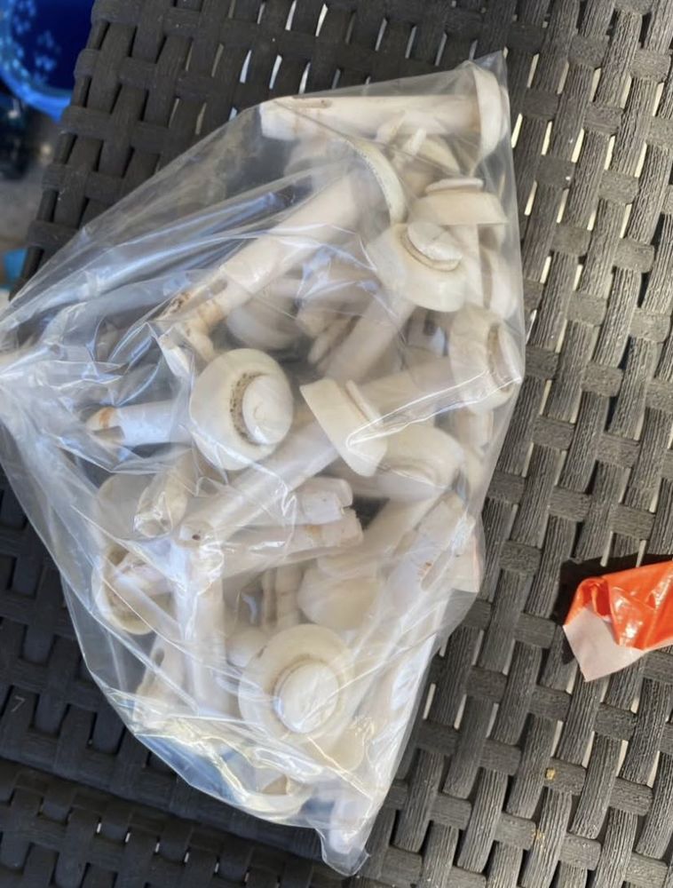 armature piscine Intex prism Frame ronde 30 Bourg-en-Bresse (01)