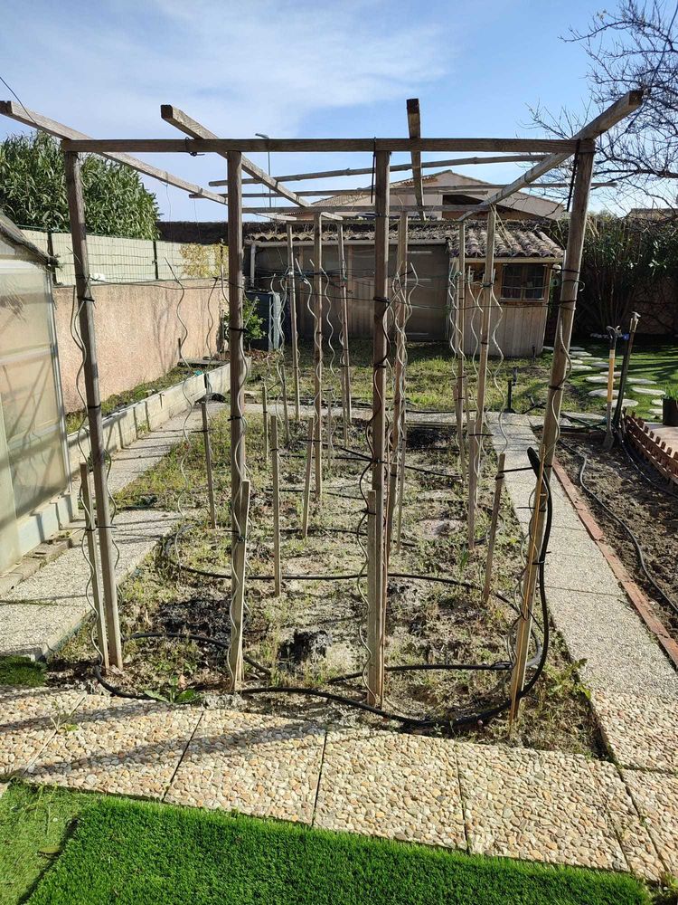 armature pour tomates etc 50 Lattes (34)