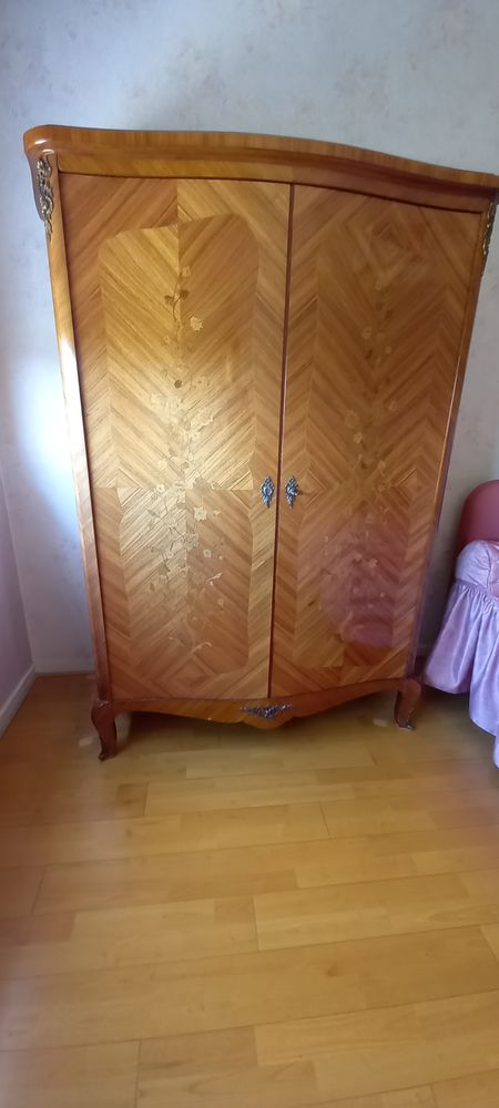 Armoire ancienne bois de rose 300 Bron (69)