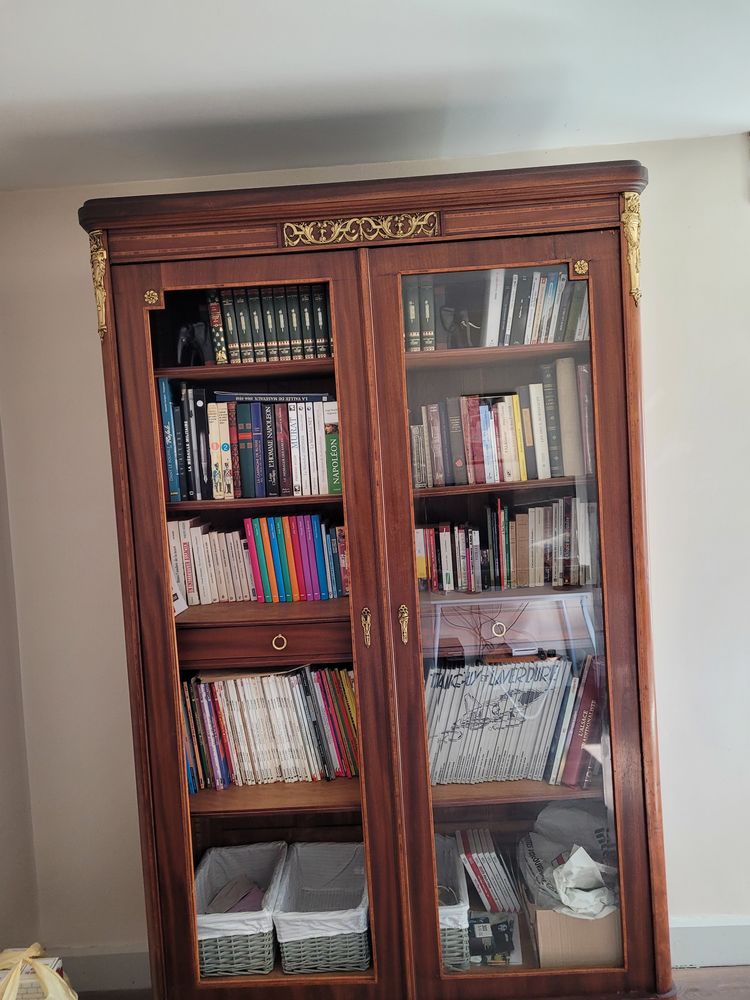 Armoire biblioth�que 499 Ferdrupt (88)