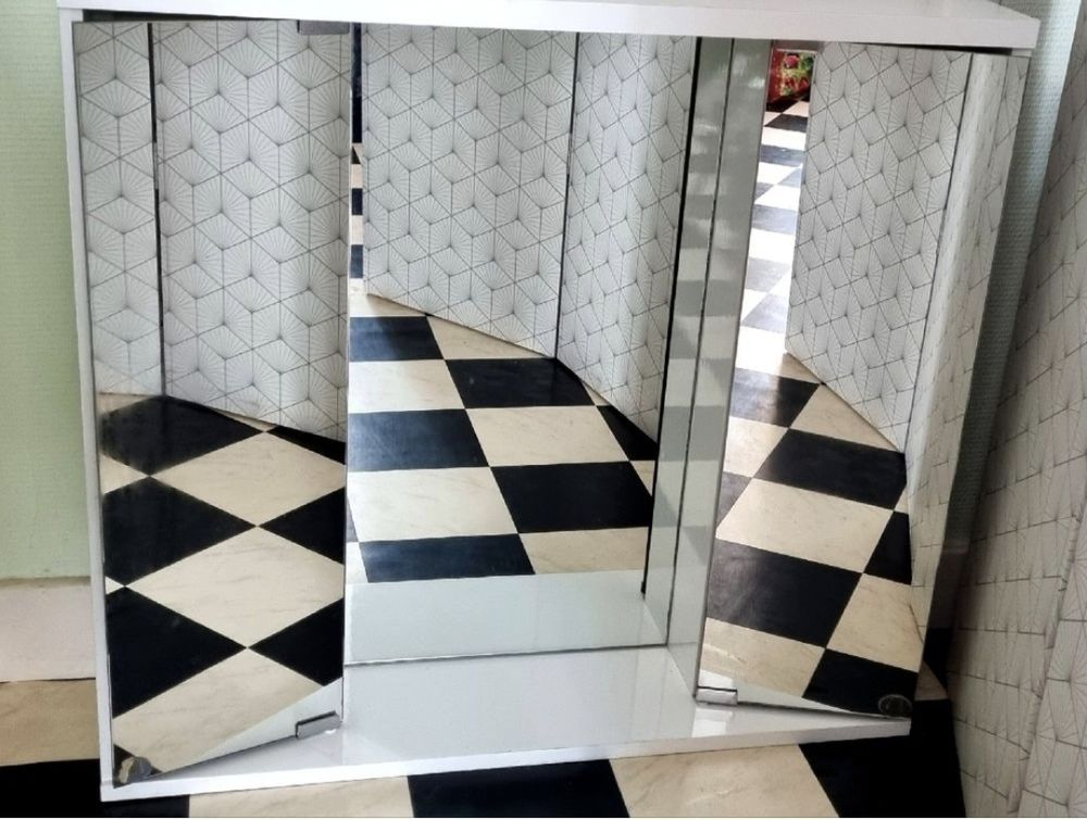 Armoire � glaces 45 Dijon (21)