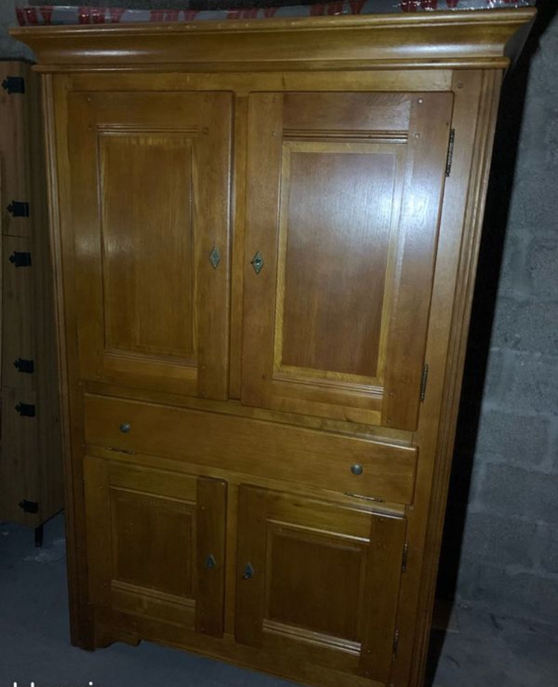 Armoire multi usages 100 Lyon 9 (69)