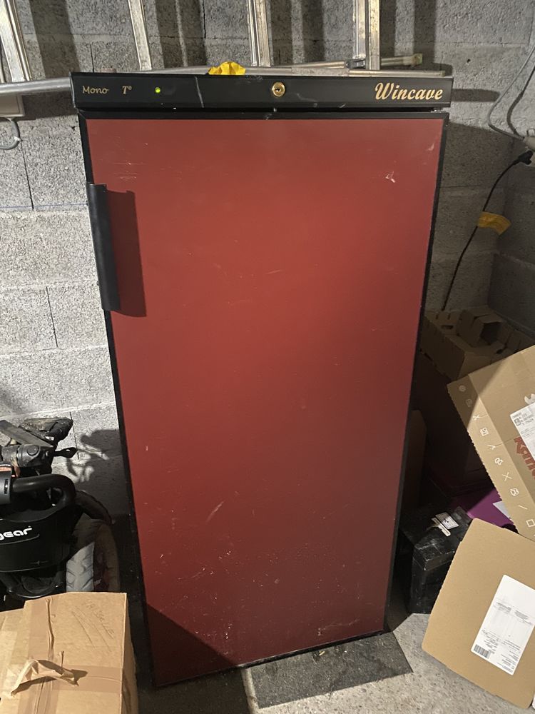 Armoire � vin 100 Copponex (74)