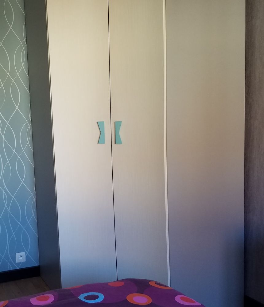 Lot 2 armoires 499 Chen�ve (21)